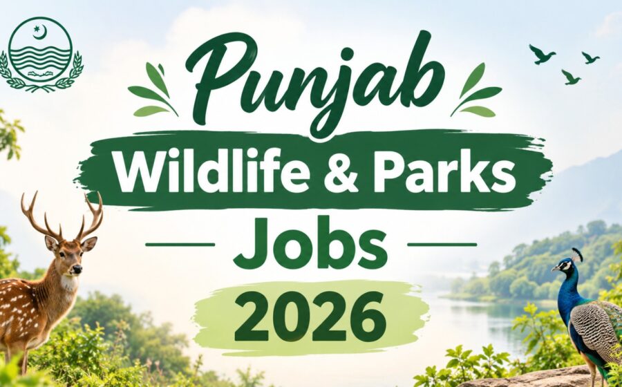 Punjab Wildlife & Parks Department Jobs